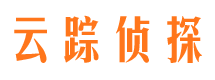 汉阳市侦探调查公司